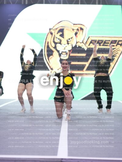 Joy P2Mpm 024