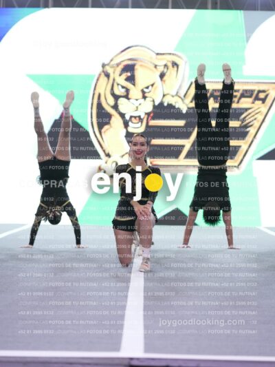 Joy P2Mpm 025