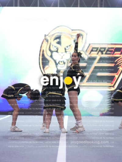 Joy P2Mpm 027