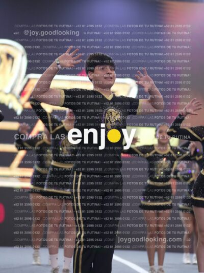 Joy P2Mpm 039