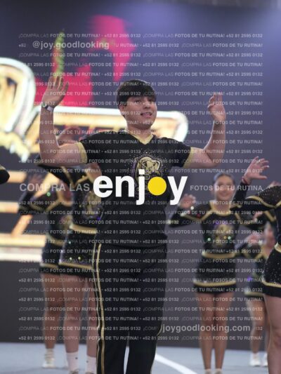 Joy P2Mpm 040