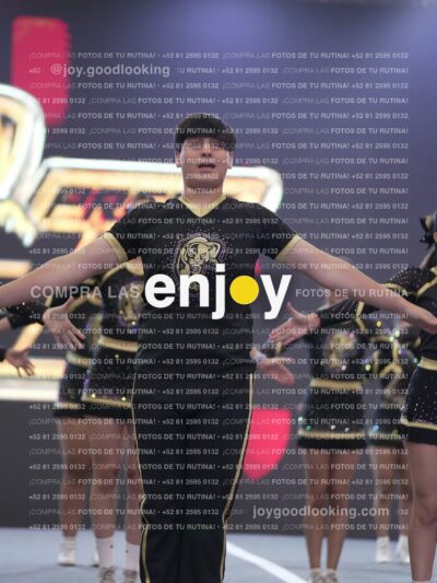 Joy P2Mpm 041