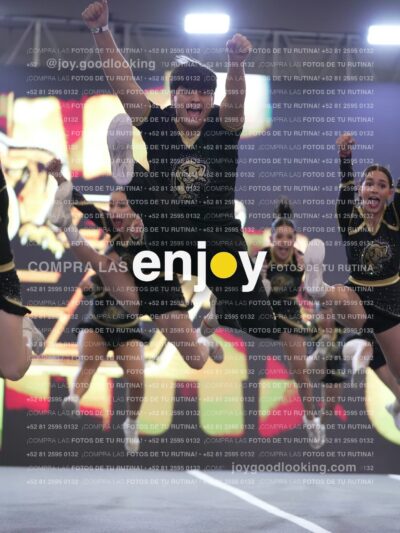 Joy P2Mpm 045