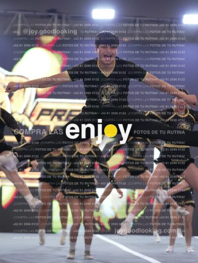 Joy P2Mpm 047