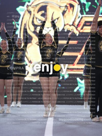 Joy P2Mpm 056