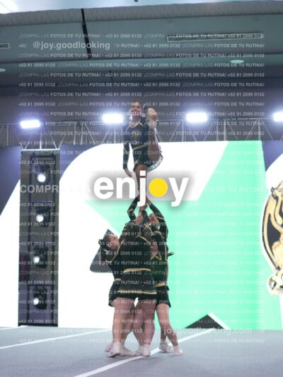 Joy P2Mpm 066