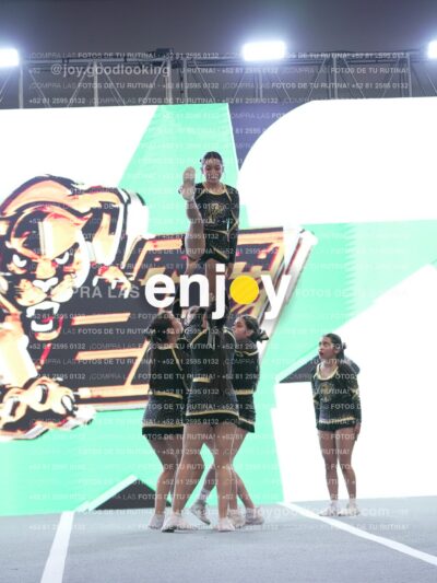 Joy P2Mpm 073