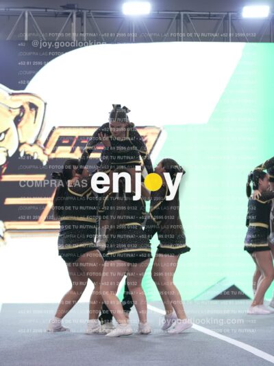 Joy P2Mpm 076