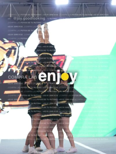 Joy P2Mpm 077