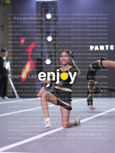 Joy P2Mpm 088