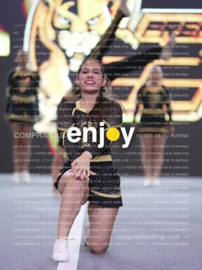Joy P2Mpm 092
