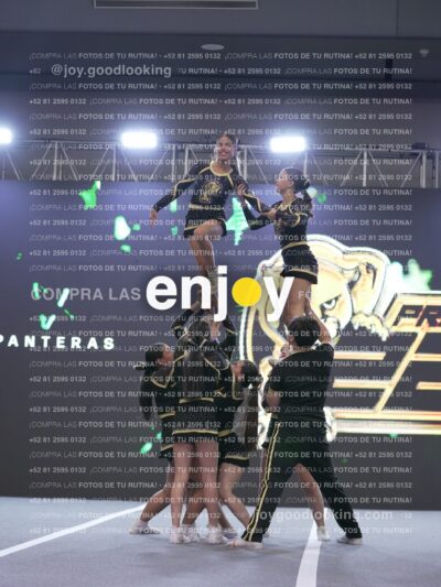 Joy P2Mpm 097