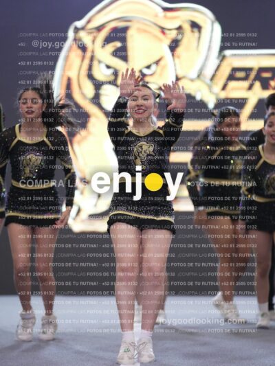 Joy P2Mpm 115