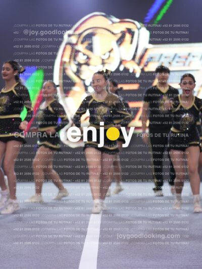 Joy P2Mpm 117