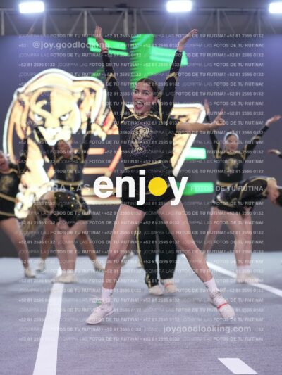 Joy P2Mpm 119
