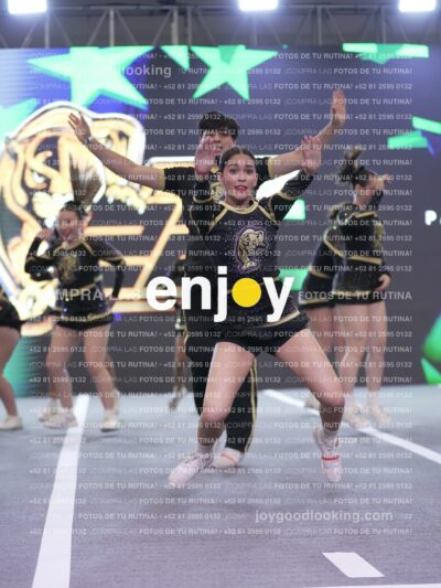 Joy P2Mpm 120