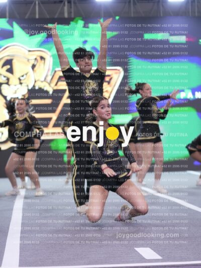 Joy P2Mpm 121