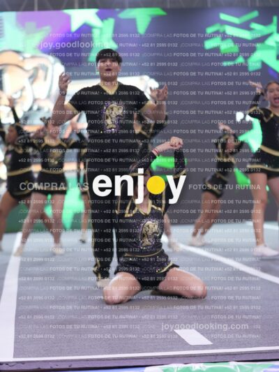 Joy P2Mpm 123