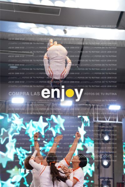 Joy Pm 095