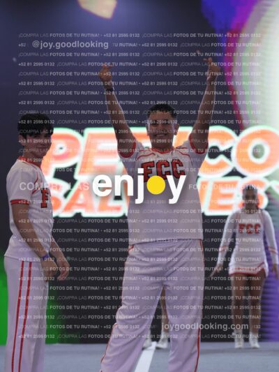 Joy Pm 161