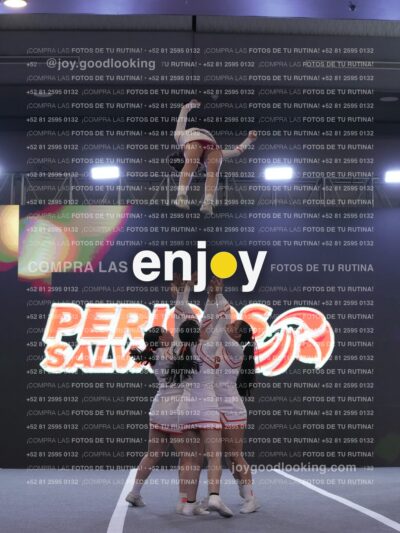 Joy Pm 195