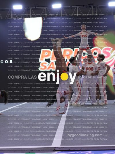 Joy Pm 199