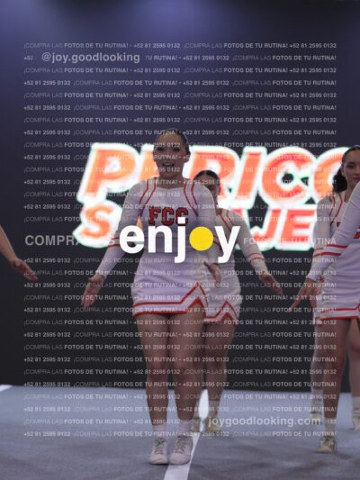 Joy Pm 219