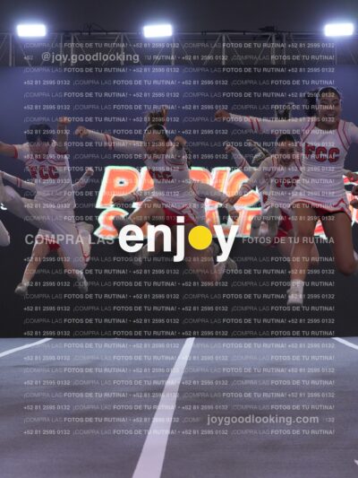 Joy Pm 222