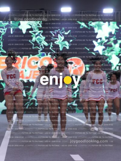 Joy Pm 232