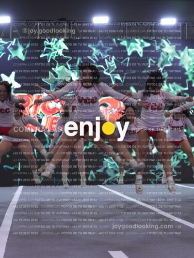 Joy Pm 234