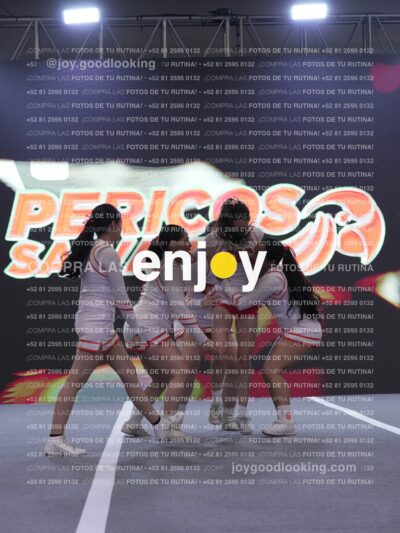 Joy Pm 297