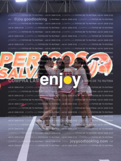 Joy Pm 298