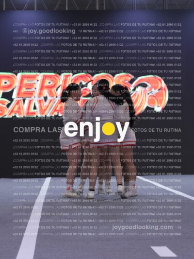 Joy Pm 300