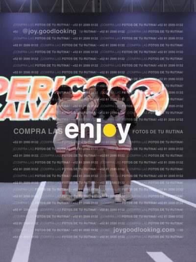 Joy Pm 301