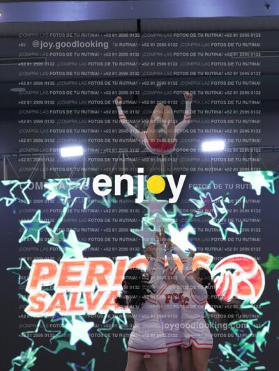 Joy Pm 306