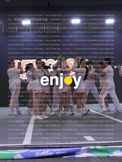 Joy Pm 311