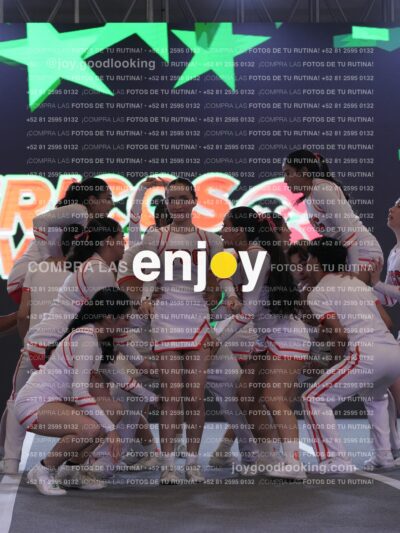 Joy Pm 312