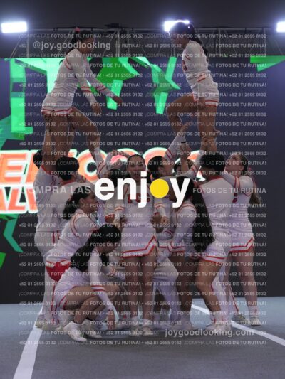 Joy Pm 313