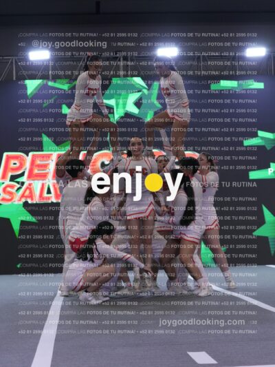 Joy Pm 314