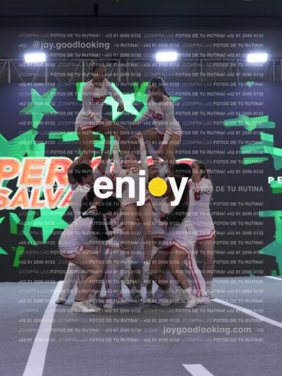 Joy Pm 315