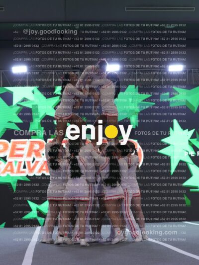 Joy Pm 319