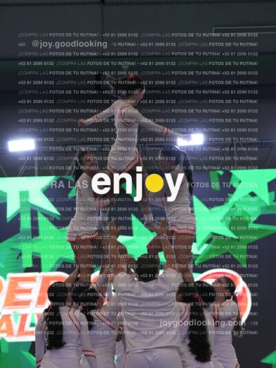 Joy Pm 321