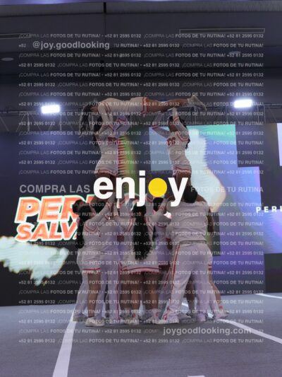 Joy Pm 325