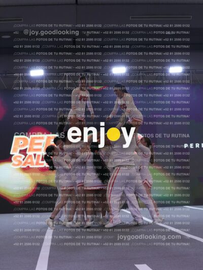 Joy Pm 328