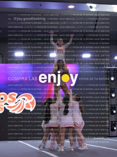 Joy Pm 333