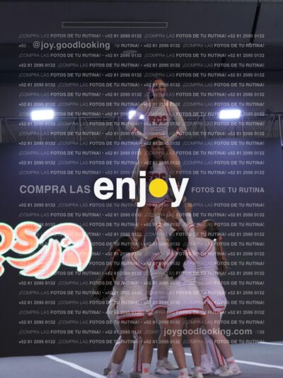 Joy Pm 334