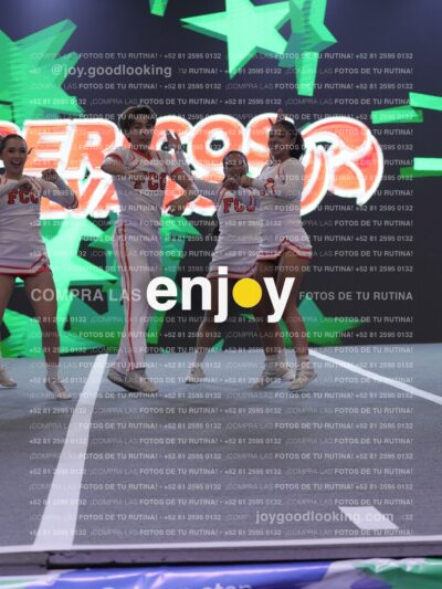 Joy Pm 341