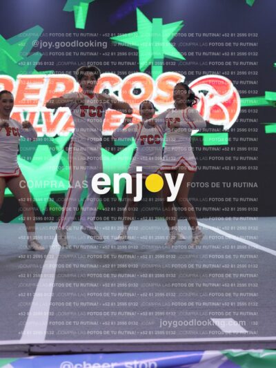 Joy Pm 342