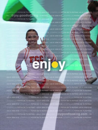 Joy Pm 353