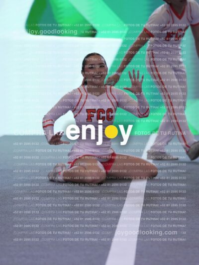 Joy Pm 354